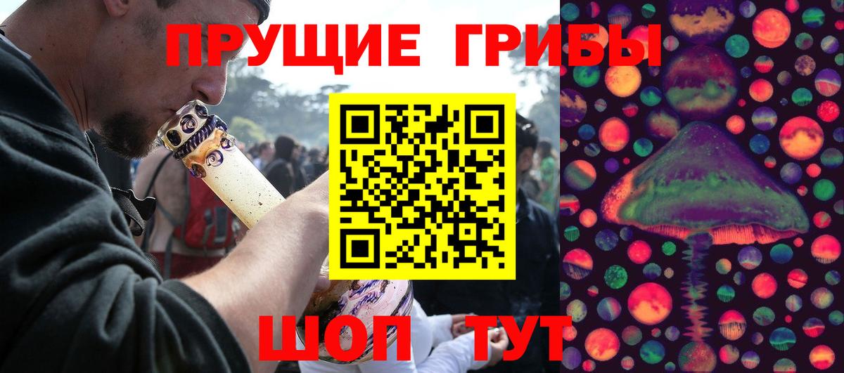 Асино  Галлюциногенные грибы GOLDEN TEACHER  Вход с VPN  Псилоцибиновые грибы MAGIC MUSHROOMS 