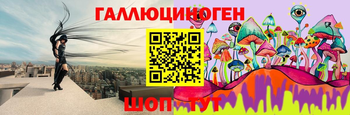 Галлюциногенные грибы прущие грибы Асино